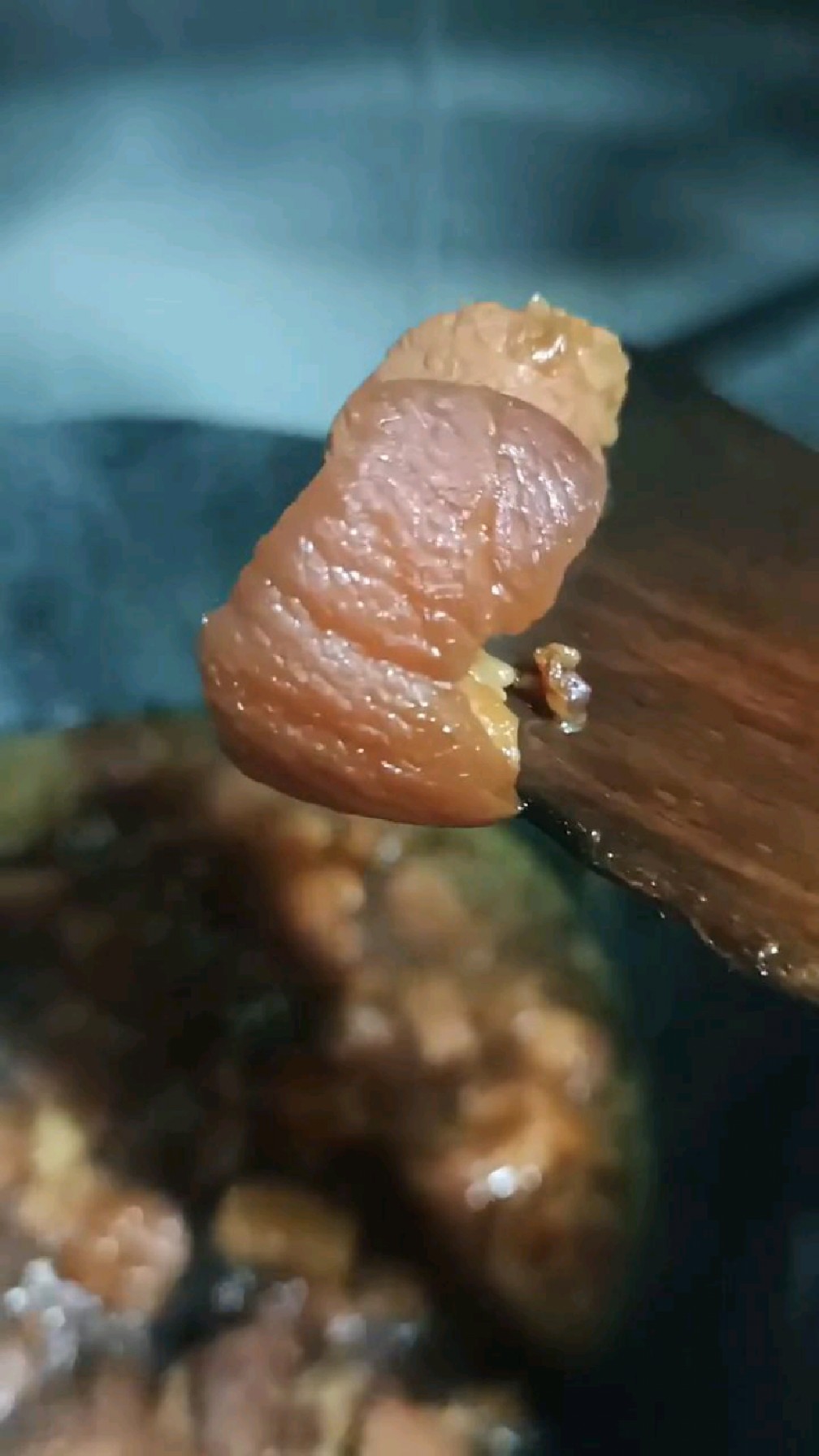 东北红烧肉肉。v软烂入味超级下饭。