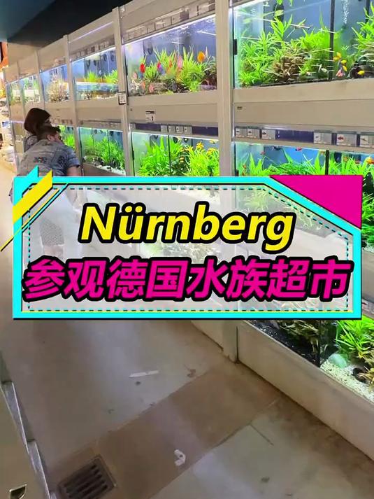 在德国逛的第3家水族店，接下来带鱼友们去看东南亚观赏鱼！