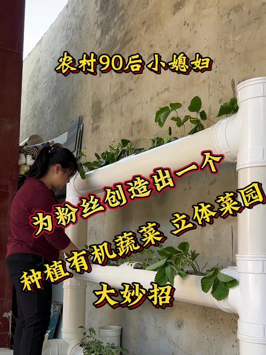 农村90后小媳妇用水管制作出在楼房的阳台上种植有机蔬菜立体菜园