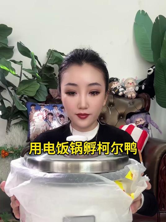 用电饭锅孵柯尔鸭！为粉丝我又重新出发了！