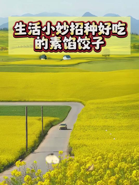 生活小妙招种好吃的素馅饺子