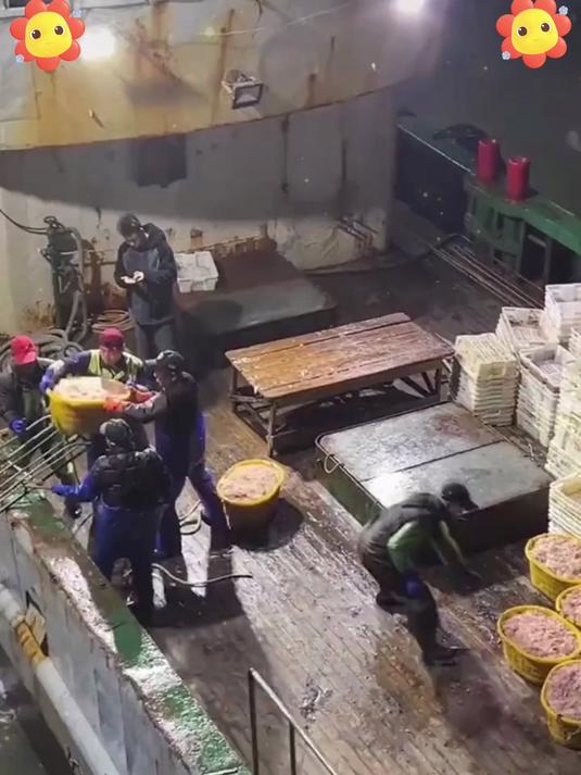 正宗海捕淡干虾皮:锁住大海鲜味,家常调味必备