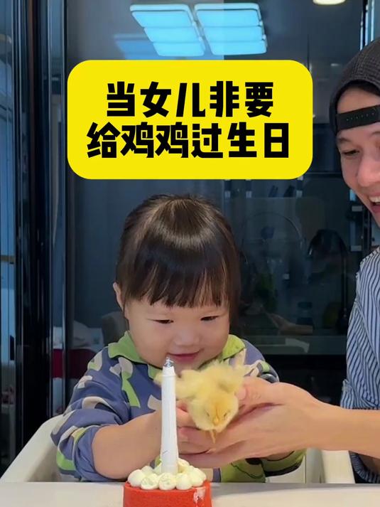 自己生日都没过明白,非得给小鸡过生日