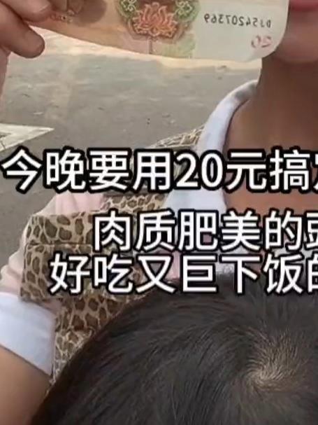 20元的晚餐有海鲜有肉,简简单单好吃而满足