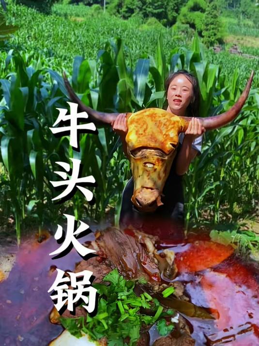 牛气冲天的美食——牛头火锅#农村美食#