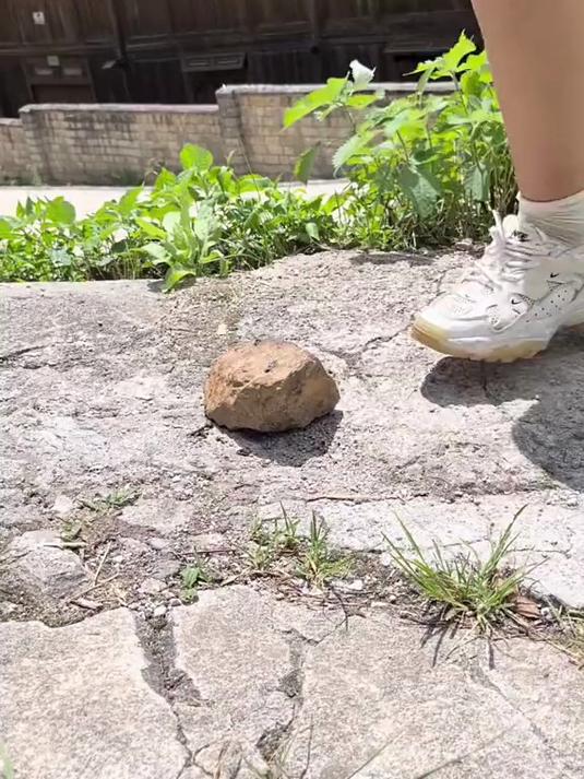 小龙虾太搞笑了吧