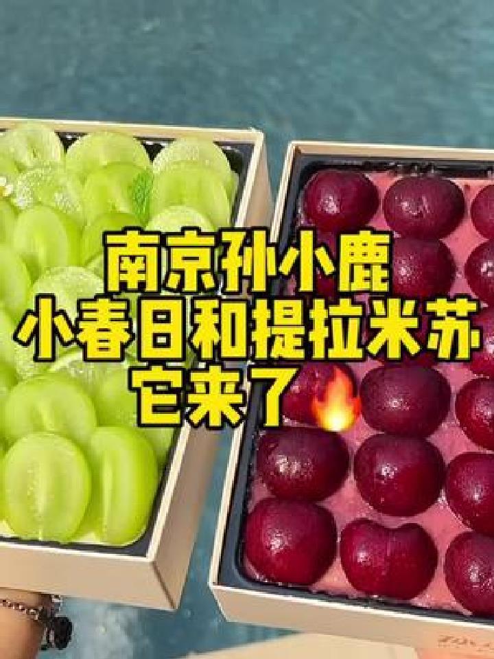 厦门也有这样的提拉米苏啦～～