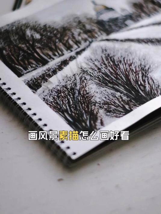 画风景素描怎么画好看,这些要点要记牢