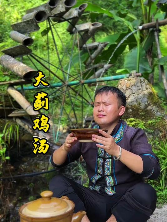 大蓟鸡汤 大蓟炖鸡,是个好东西!