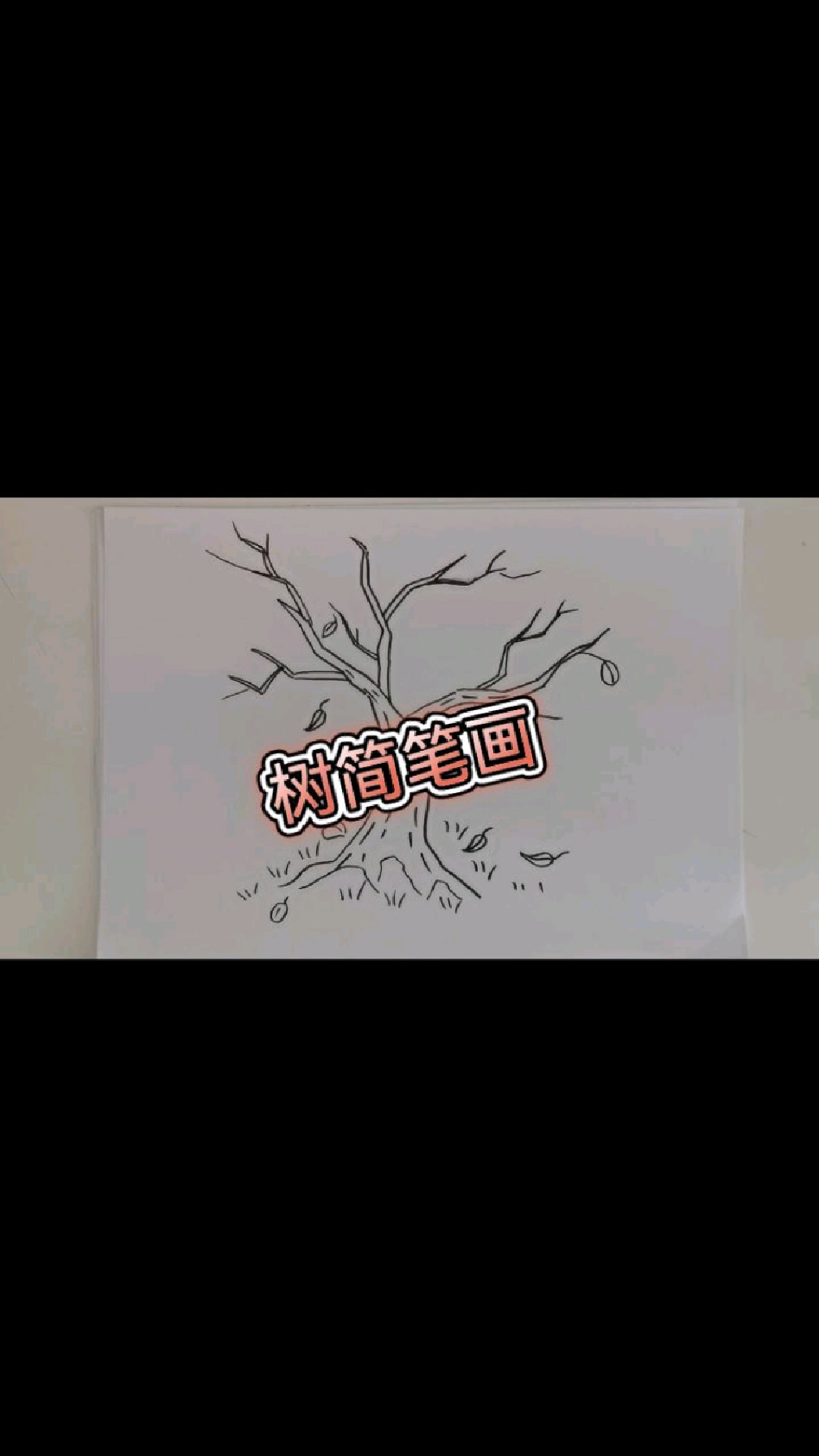 冬天的树简笔画教程儿童