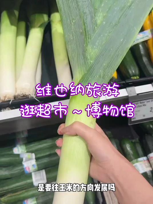 维也纳第二天