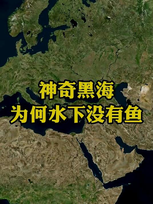 神奇黑海，215米下面为何没有鱼