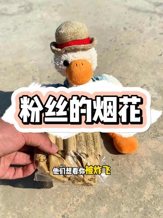 粉丝的烟花#暴躁老秦##复读鸭#