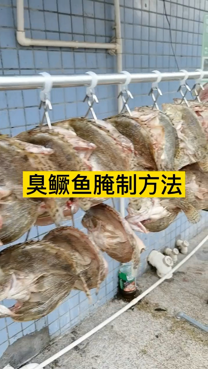 湖南臭鳜鱼腌制方法跟安徽臭鳜鱼腌制方法区别,仔细看