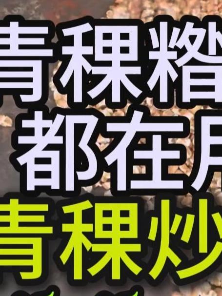 青稞糌粑店都在用的青稞炒货机