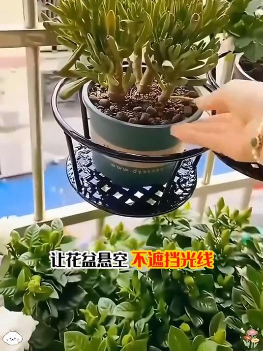 阳台花架挂式,加粗加固超耐用,多肉绿萝挂起来!
