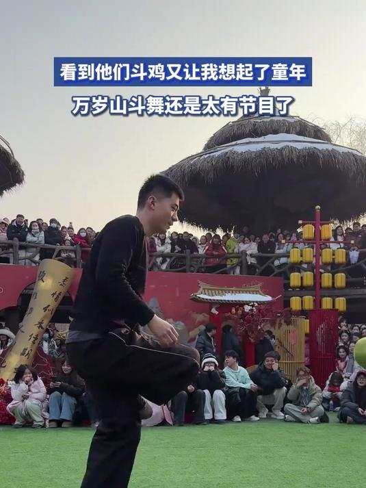 看到他们斗鸡又让我想起了童年，万岁山斗舞还是太有节目了