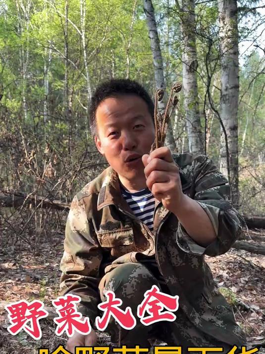 野菜大全 看看东北啥野菜最受欢迎，啥野菜最贵