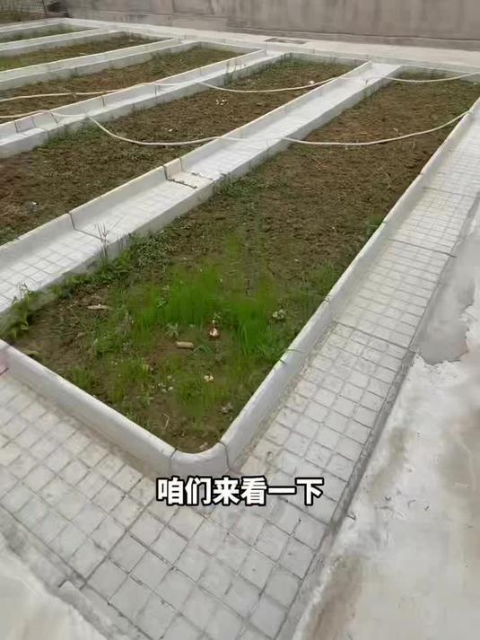 把你家的小菜园用菜沟板改造成田园小院吧