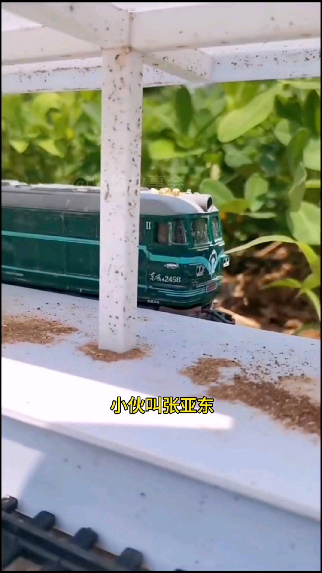 小伙在自家菜园建起高铁基地,这超强的动手能力震撼人心!