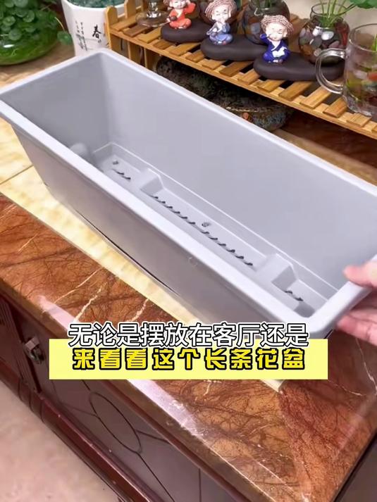 长条塑料盆魅力大,种花种菜乐趣多,透气排水效果棒!