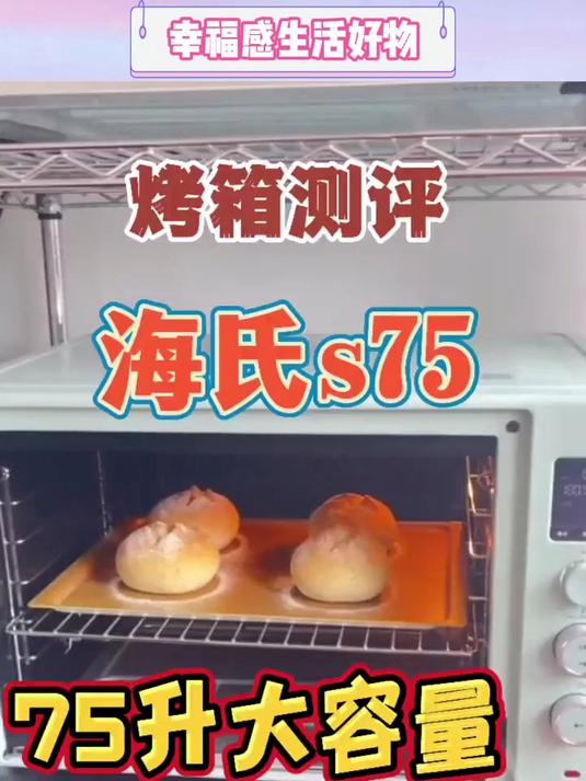 海氏S75电烤箱家用商用烘焙超级大容量多功能平炉发酵箱