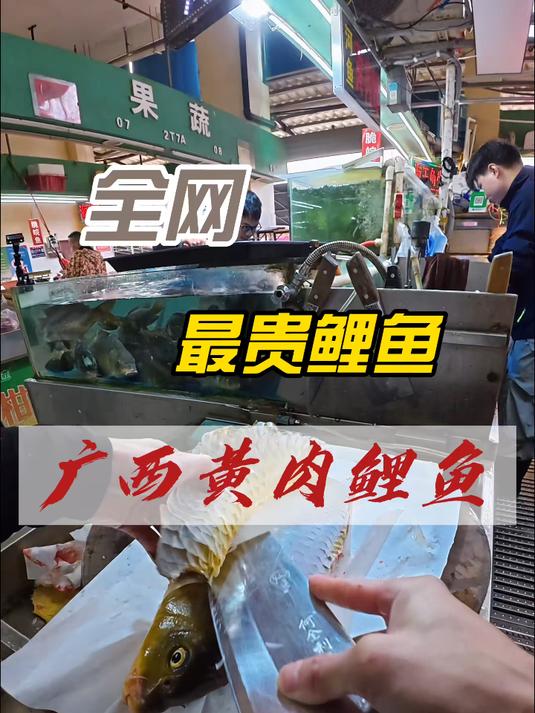 什么技术才有资格处理一斤20块钱的鱼