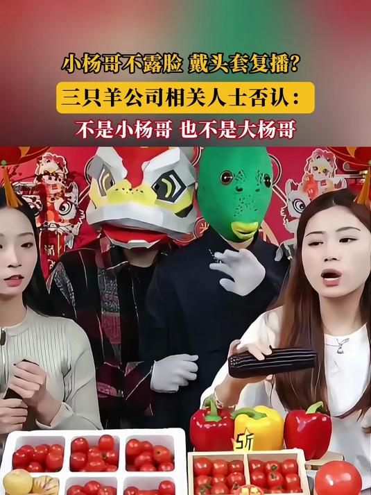 小杨哥不露脸,戴头套复播?三只羊公司相关人士否认