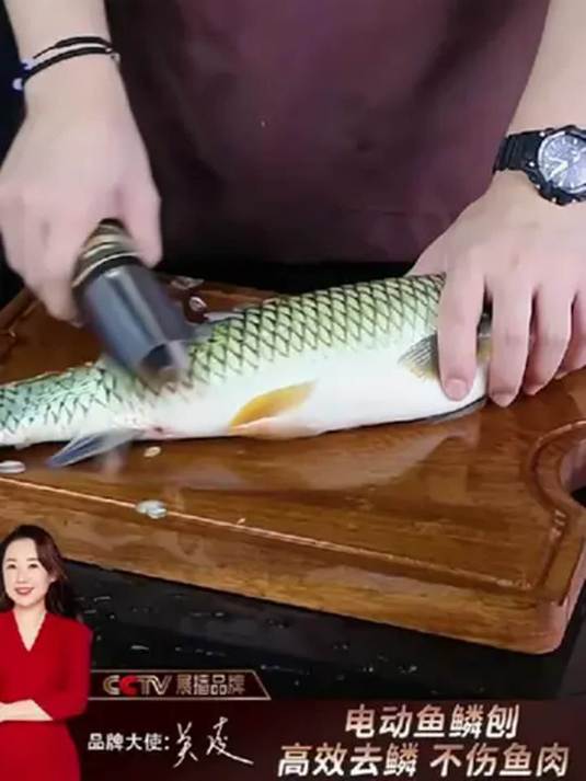 高档电动刮鱼鳞器 操作简单又省力 干净卫生超便捷
