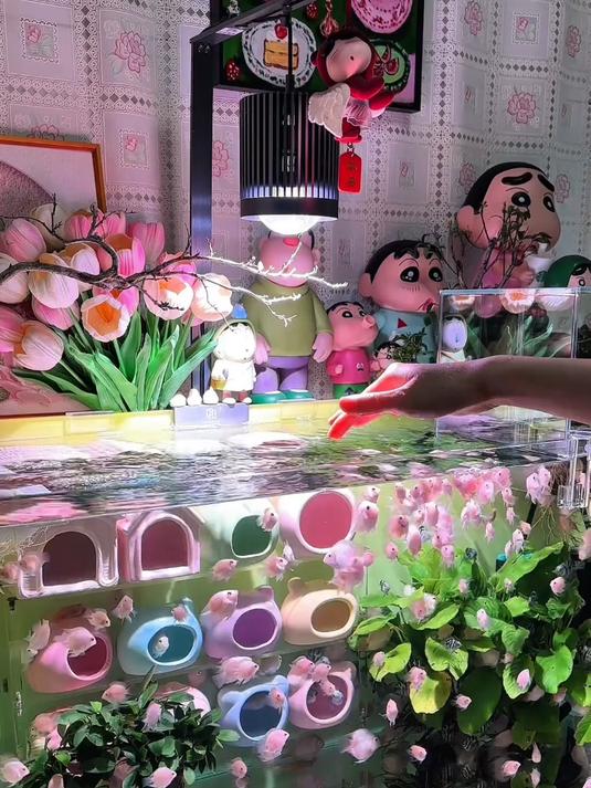 一周一次的“快乐加餐”，网友分享喂鱼日常