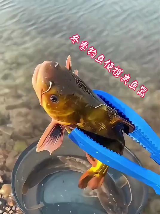 抓鱼牢固不伤鱼