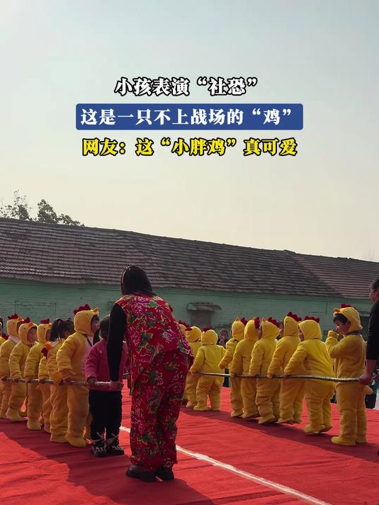 小孩表演社恐,这是一只不上战场的“鸡”,这“小胖鸡” 真可爱