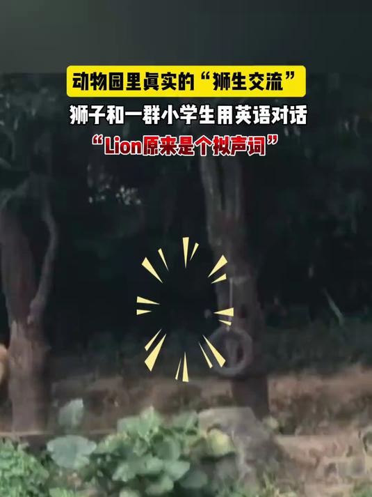 动物园里真实的狮生交流,狮子和一群小学生用英语对话,Lion原来是个拟声词