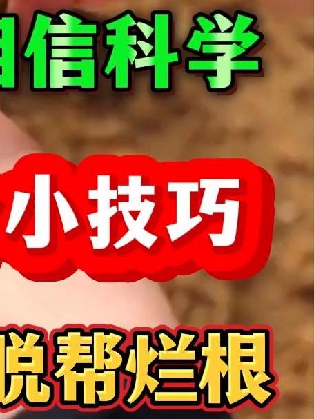 种白菜记住这2个技巧白菜高产不脱帮烂根