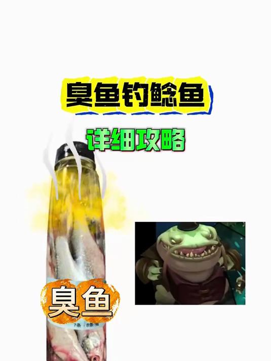 臭鱼野钓鲶鱼攻略!选点找鱼,装备如何搭配,线组用饵!