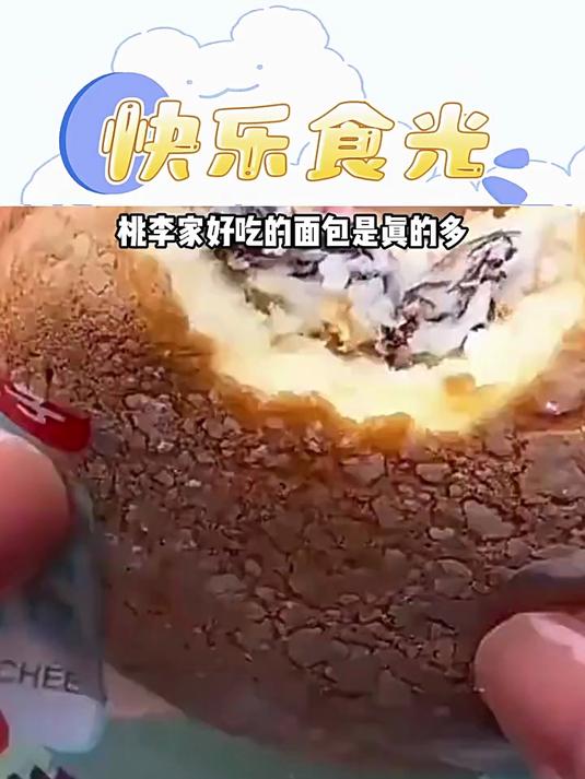 桃李布雪蛋糕葡萄干蔓越莓夹心点心零食礼盒