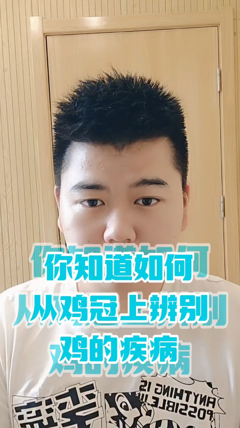 #公鸡的鸡冠萎缩是什么原因鸡的鸡冠发白是什么原因鸡的鸡冠发黑是什么鸡冠发黑不吃食