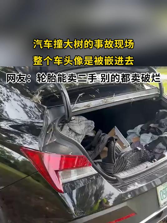 汽车撞大树的事故现场,整个车头像是被嵌进去