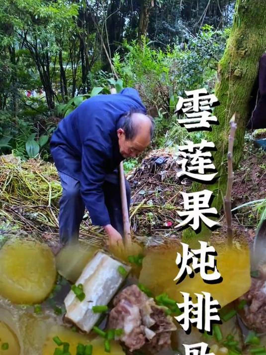 雪莲果炖排骨,简单的家常菜不仅仅是农村的味道更是儿时的回忆!