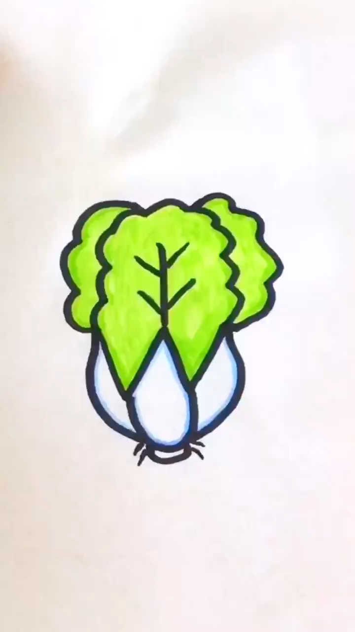 今日教画日常大白菜