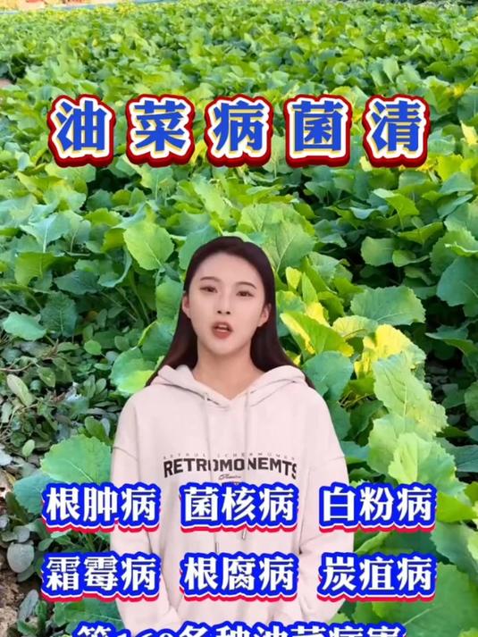 油菜病全管用,油菜病菌杀菌剂!专治霜毒病!白锈病等病害!
