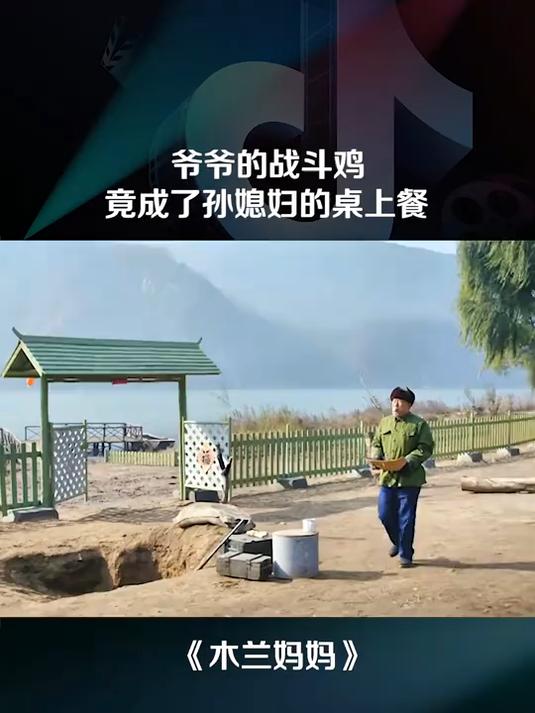 爷爷的战斗鸡,竟成了孙媳妇的桌上餐