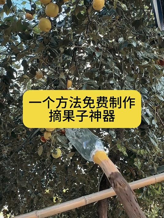 一个方法免费制作，摘果子神器