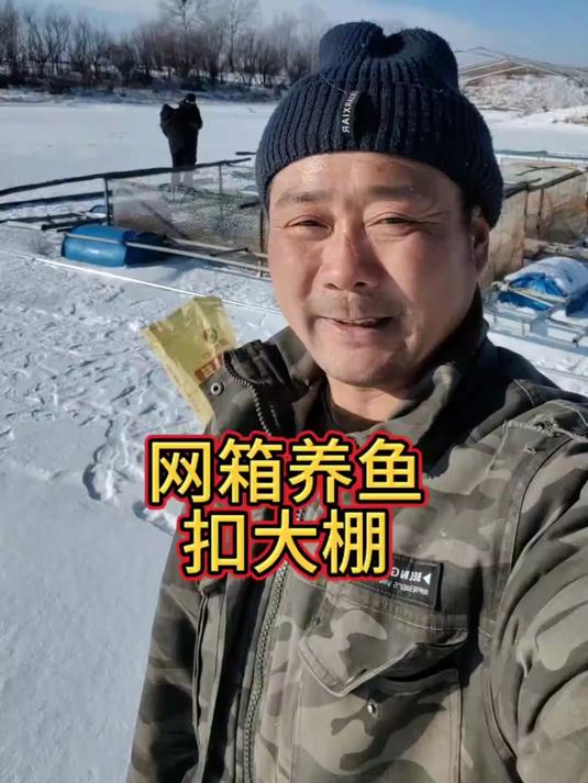 网箱养鱼扣大棚了