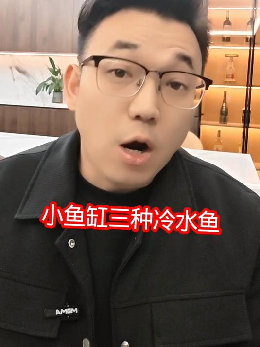不用加温打氧小鱼缸适合养的三种鱼