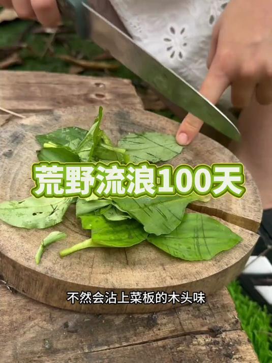 竹叶菜的吃法 #我的乡村生活 #野外生存 #户外 #流浪 #荒野求生