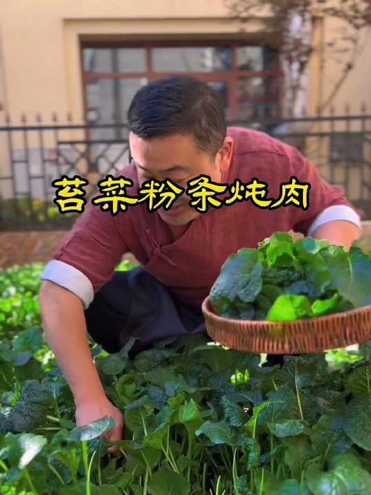 论什么炖肉最香，那必然是苔菜！