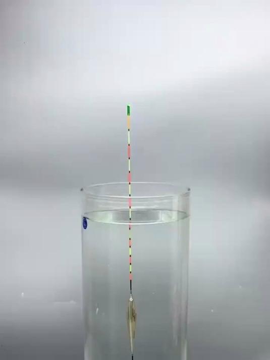 日夜两用电子鱼漂,小凤仙大圣 OLED 变色,水晶硬尾醒目夜钓神器#鱼漂##好物推荐#