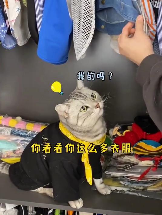 安生有小衣柜了，也太多衣服了天呐！泡芙如果来了衣服放哪里啊