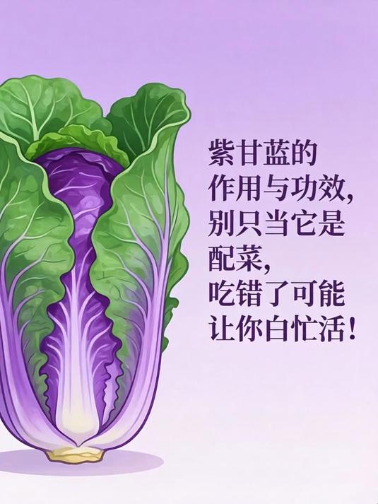 紫甘蓝的作用与功效,别只当它是配菜,吃错了可能让你白忙活!